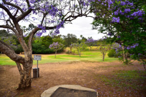 Morley Field Disc Golf